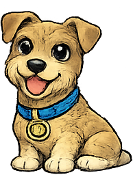 Lakeland Terrier