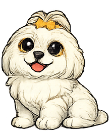 Maltese